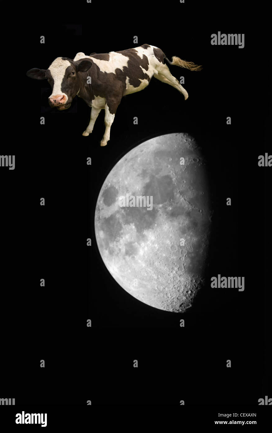 the cow jumped over the moon; northumberland, england Stock Photo