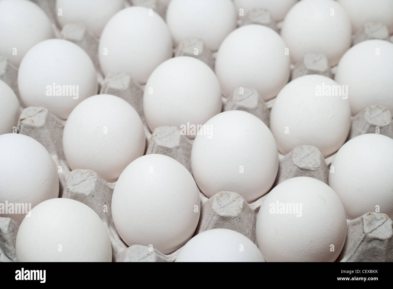 Eggs in a carrier Stock Photo