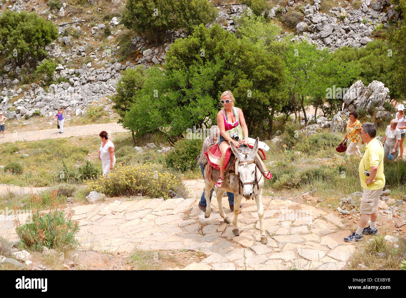 The female tourist on a donkey and local Greek man controls the animal ...