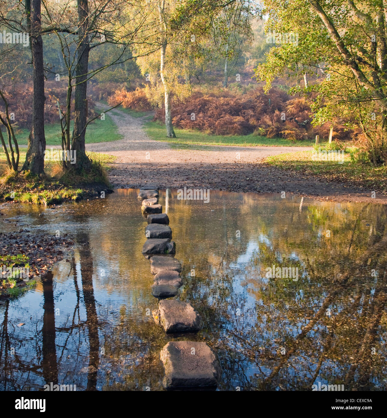 Autumn Stepping Stones across Sher Brook, Sherbrook Valley, Cannock Chase AONB (area of outstanding natural beauty) Stock Photo