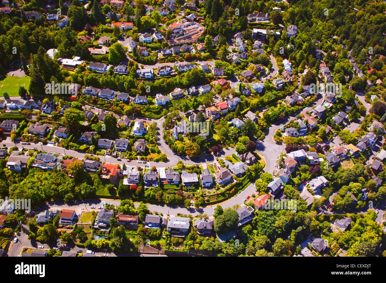 an aerial view houses in a community; portland, oregon, united states of america Stock Photo