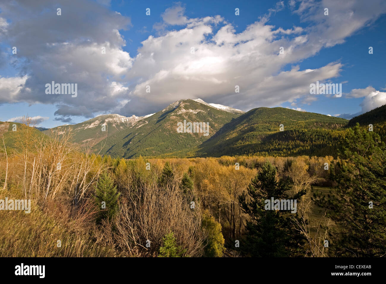 Rocky Mountains and Elk River by Fernie, British Columbia, Canada Stock Photo