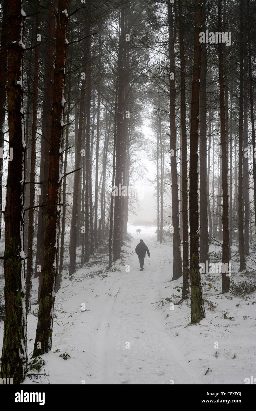 Man in snow covered forest path Stock Photo - Alamy