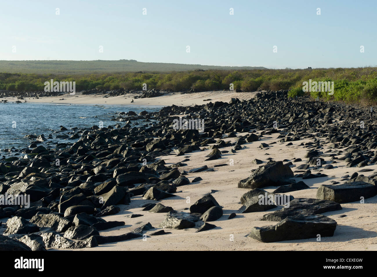 rocks on the beach along the coast; galapagos, equador Stock Photo - Alamy