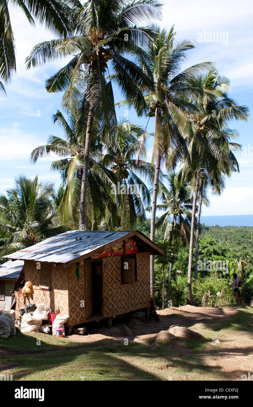 Traditional Philippine Houses
