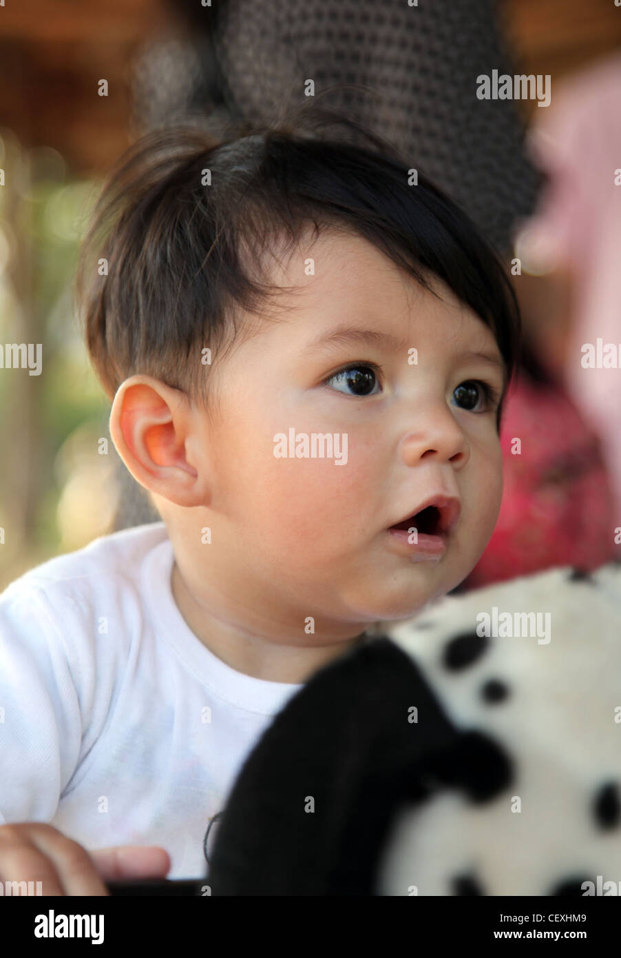 Eurasian child hi-res stock photography and images - Alamy