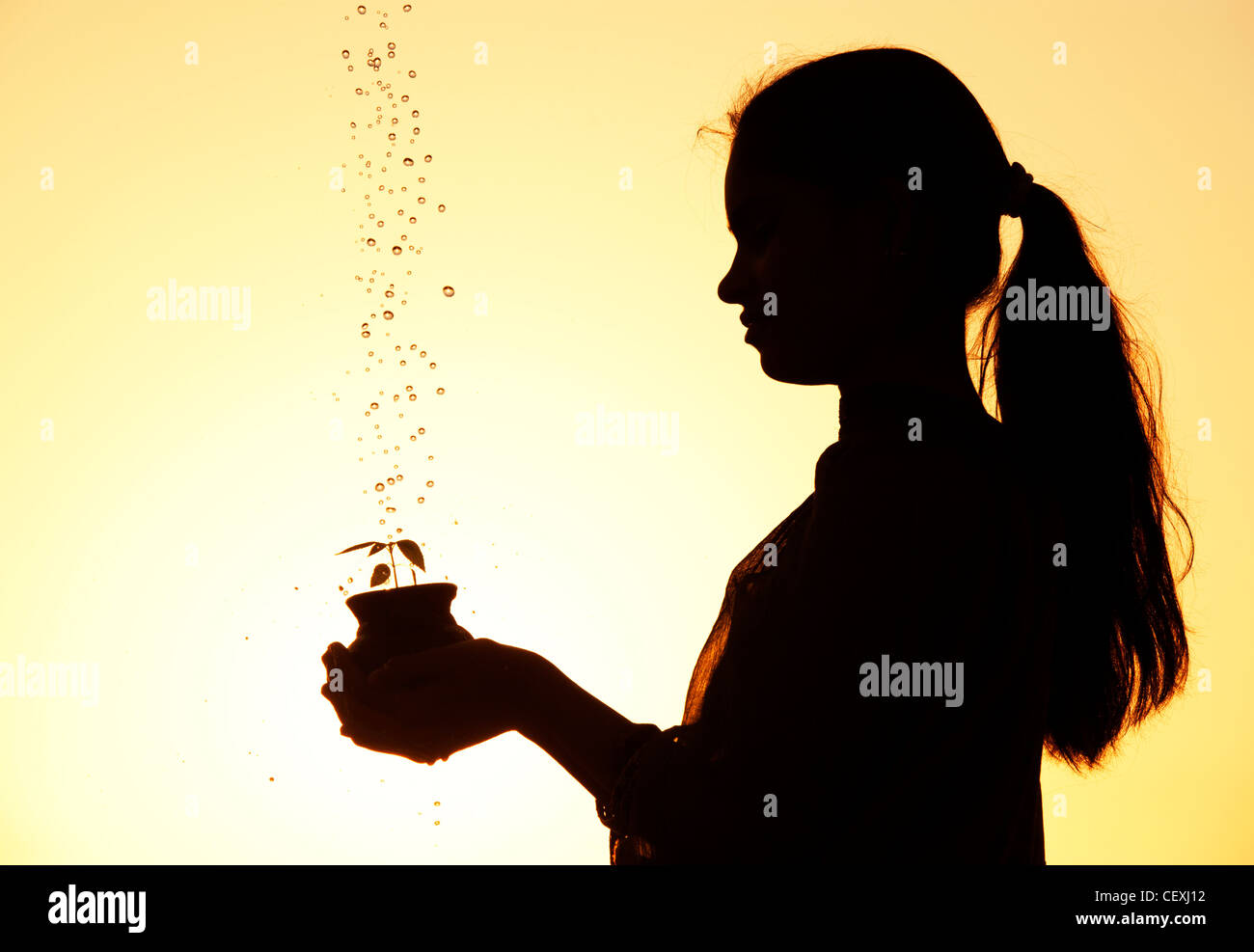 Indian teenage girl holding a plant seedling in a clay pot with water being poured over it. Silhouette. India Stock Photo