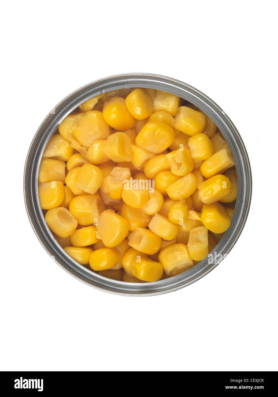 Tin of Sweetcorn Stock Photo Alamy