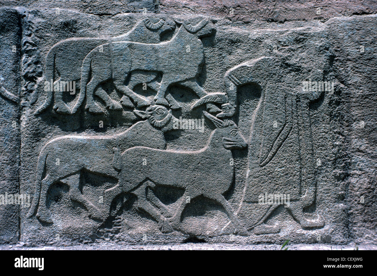 Bas-Relief or Stone Relief of Hittite Shepherd Leading Sheep and Rams, from Hittite Town of Alaca Höyük or Alacahöyük, Turkey Stock Photo