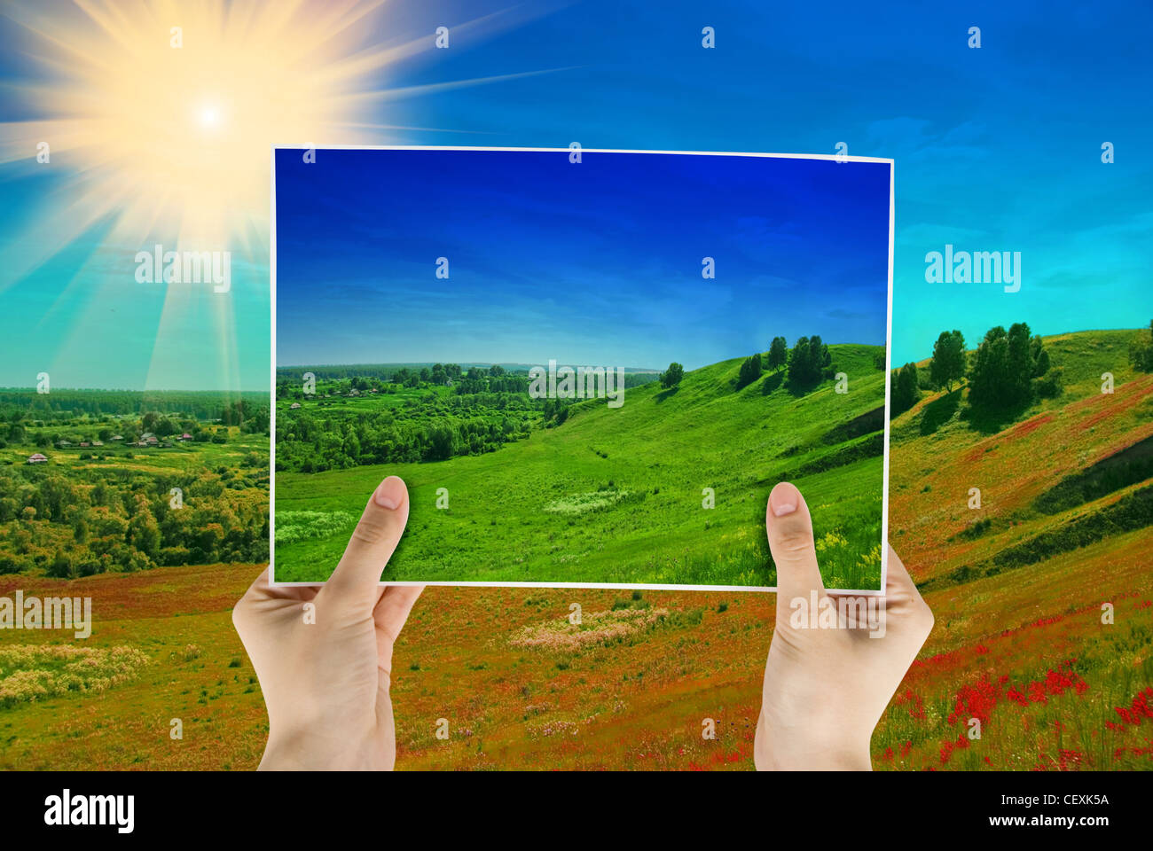 photo of green field in hands on nature background Stock Photo