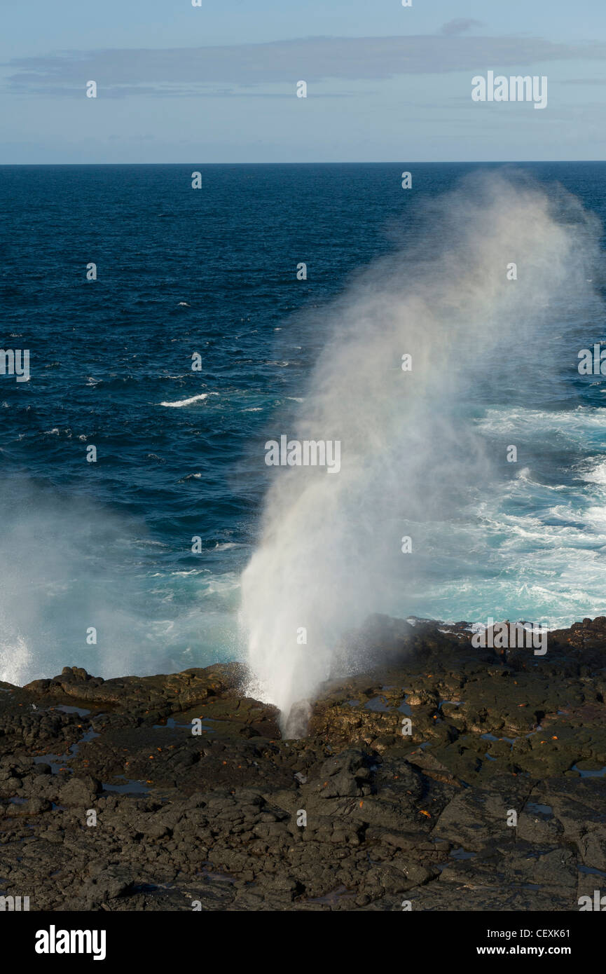 blow hole along the coast; galapagos, equador Stock Photo