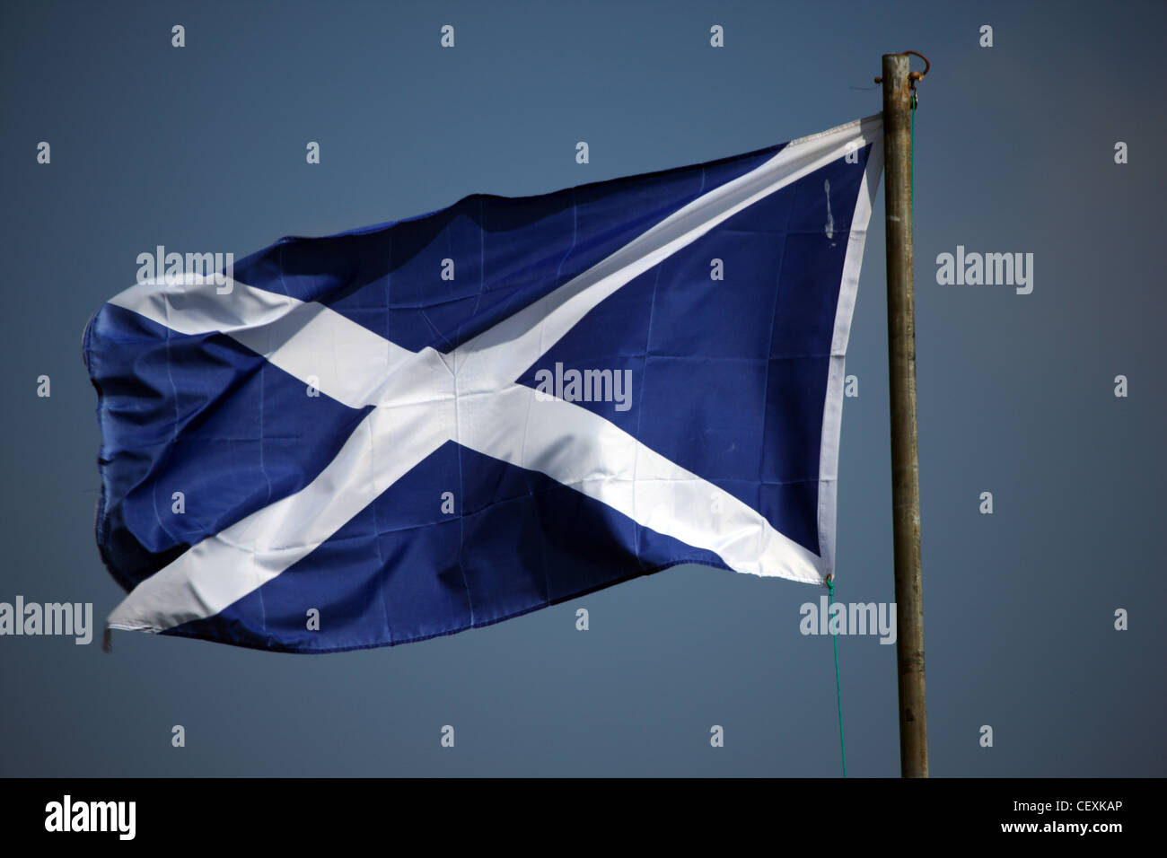 Scottish Saltire flag fluttering in the wind Stock Photo