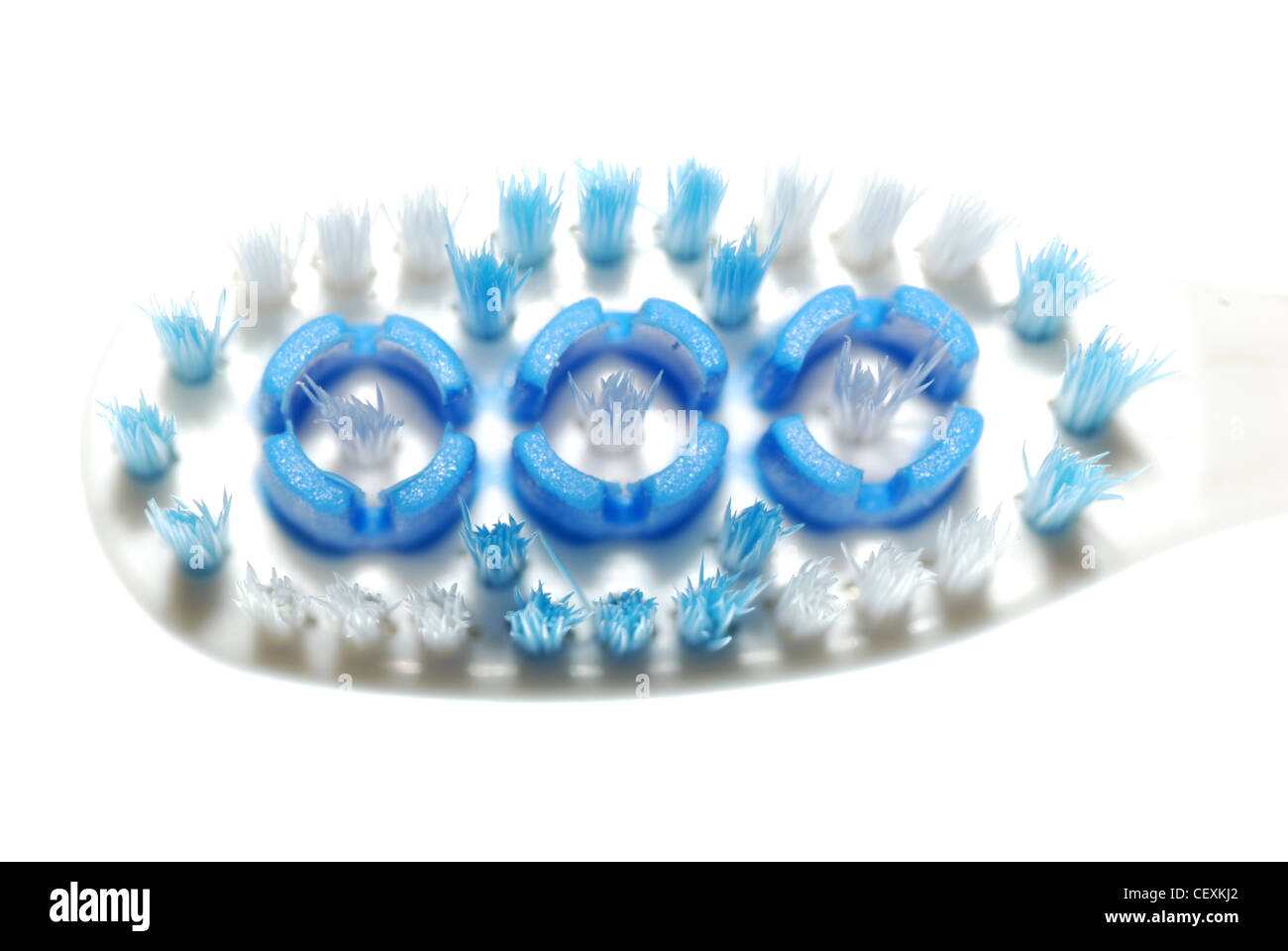 toothbrush detail macro, isolated in white Stock Photo - Alamy