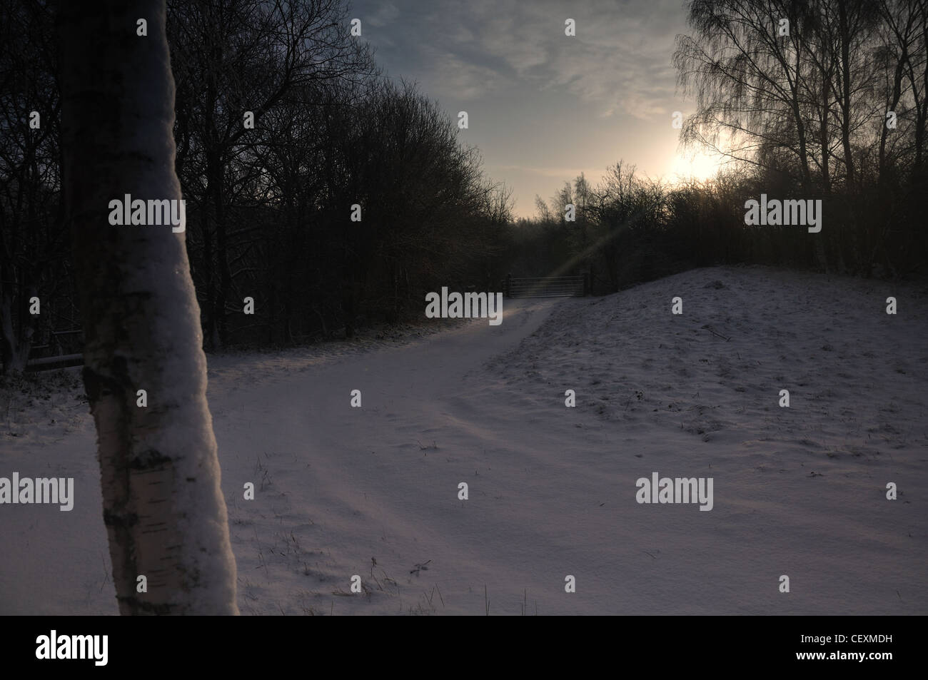 Snow scene showing a single light beam Stock Photo