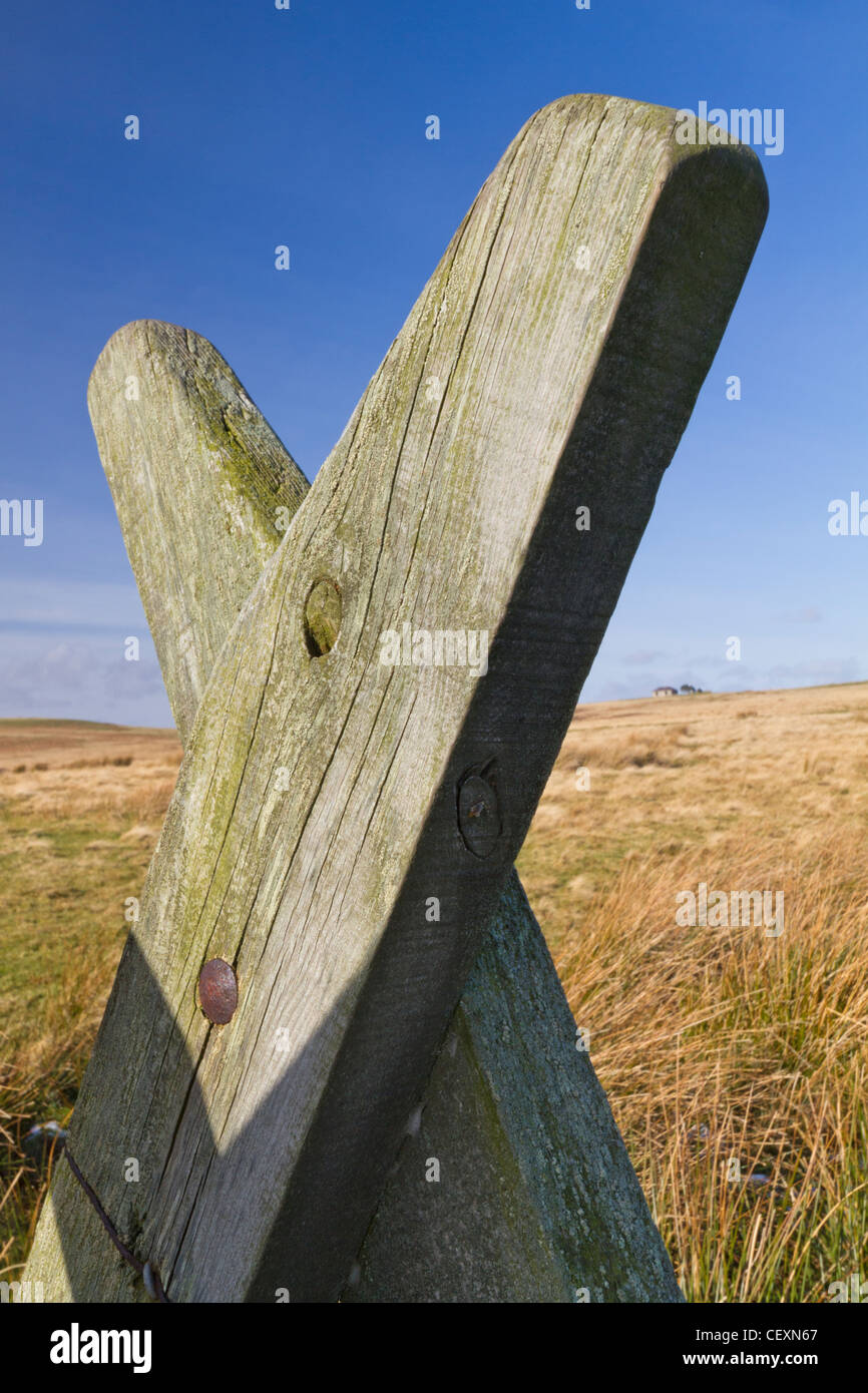 Ladder stile over a drystone wall into openaccess land in the