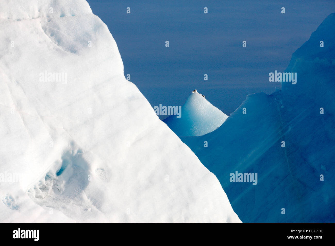 Blue icebergs in Hinlopen strait, Svalbard Stock Photo