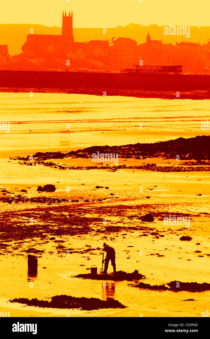High contrast image of man digging for bait near Penzance Cornwall UK Stock Photo