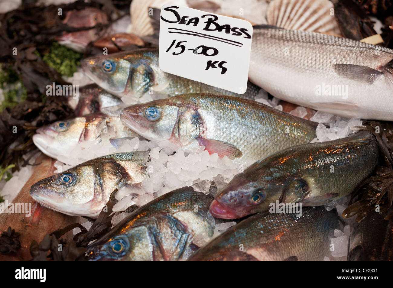 Fresh Sea Bass for sale on a fishmonger's market stall at Borough