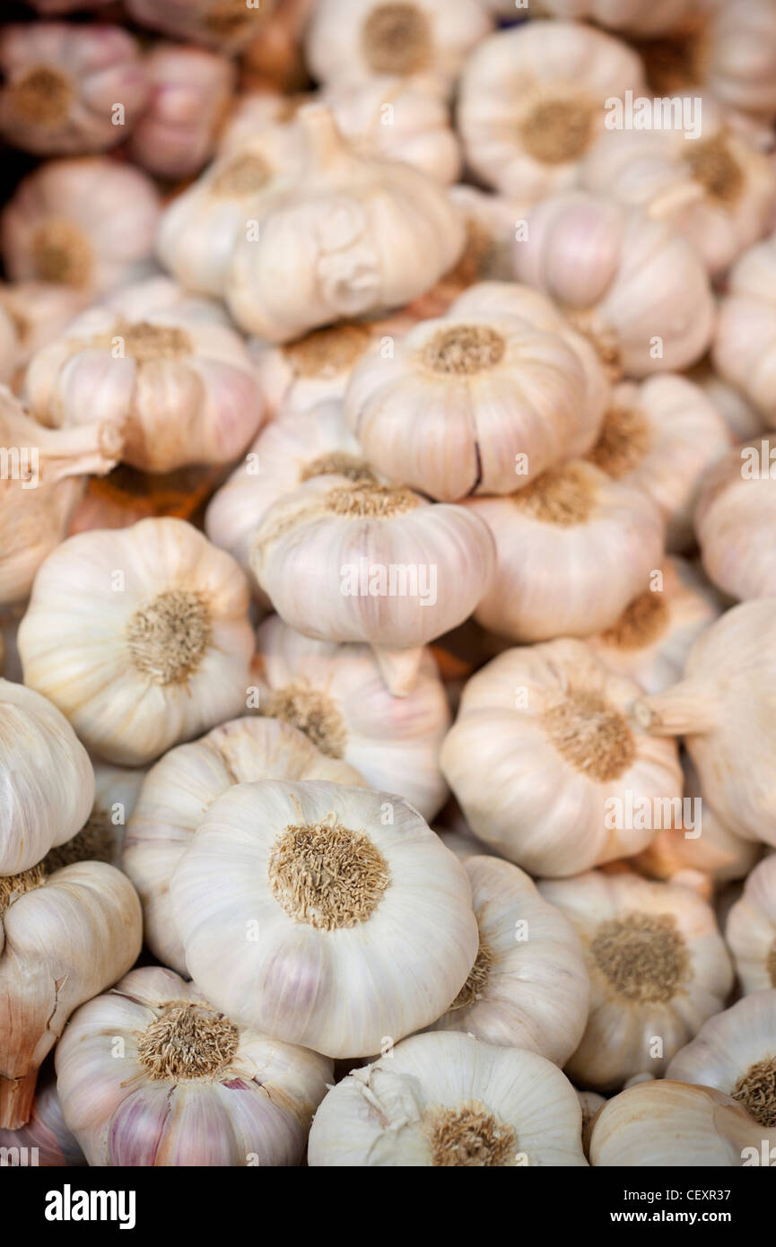 Fresh Garlic bulbs for sale in a market stall Stock Photo