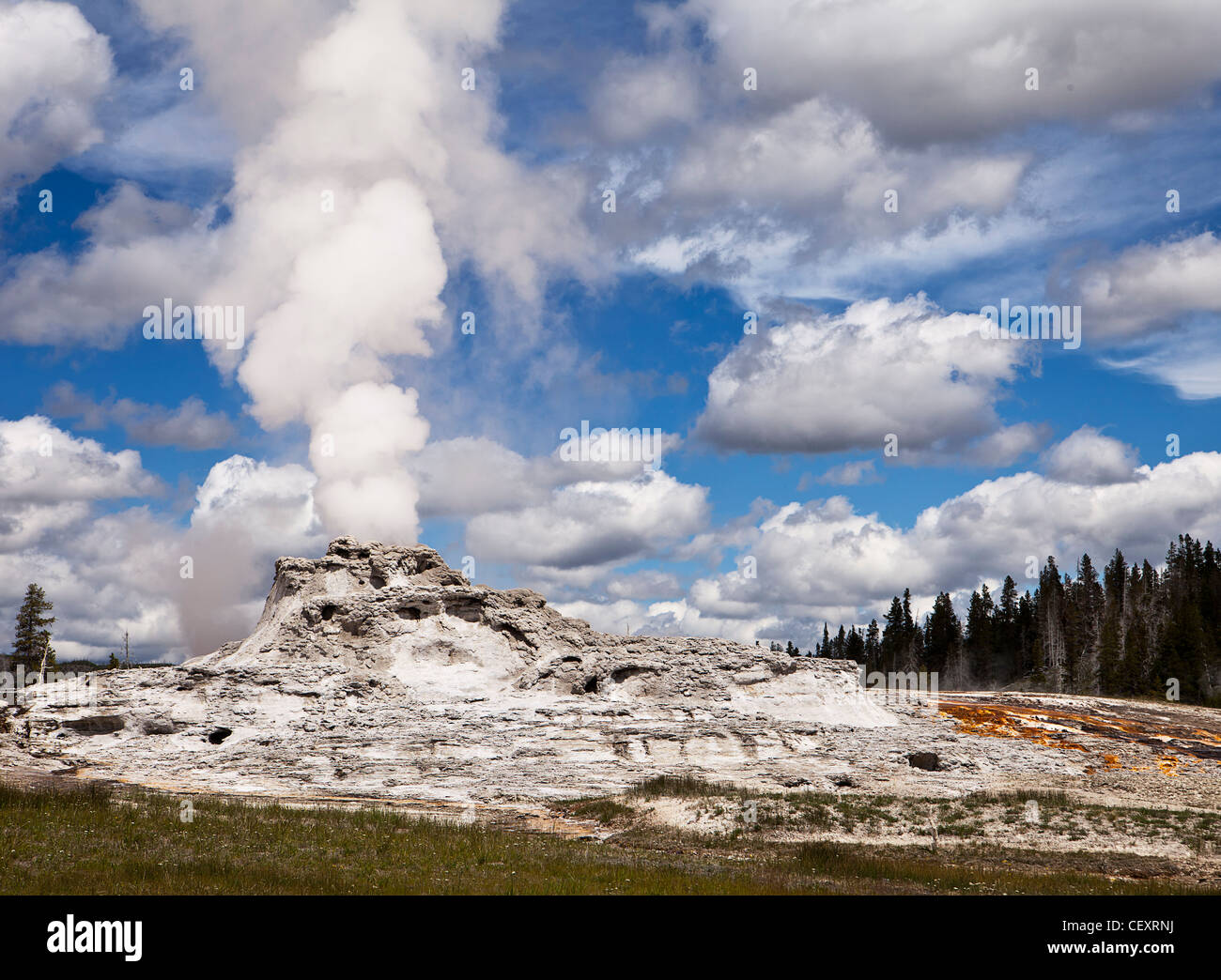 Geyser In Yellowstone Park Stock Photo