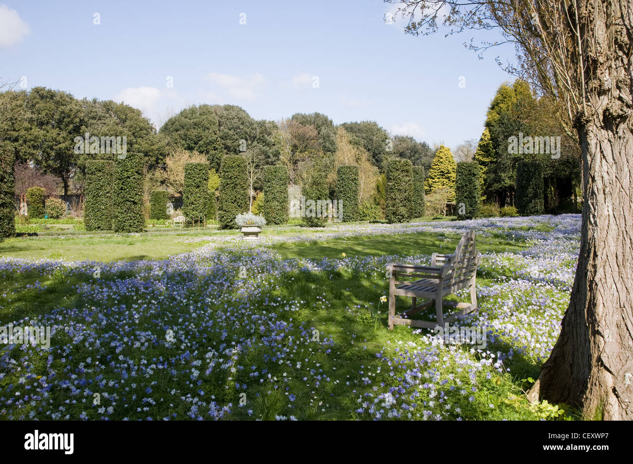 The Salutation Garden in Sandwich, Kent, England Looking across the garden, carpeted wind