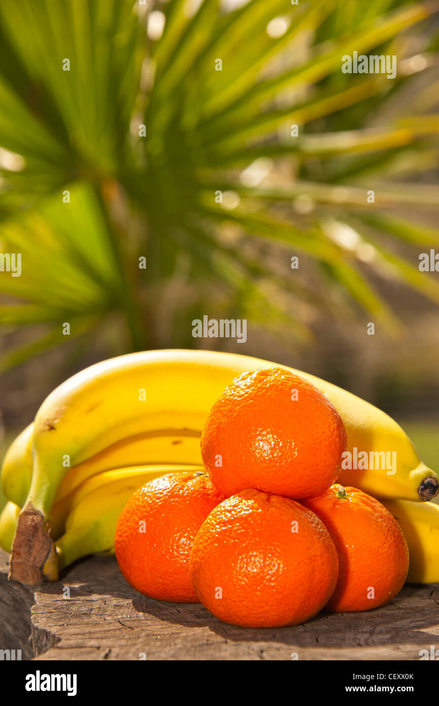 Fresh tropical fruit - a bunch of banana and some mandarines Stock Photo