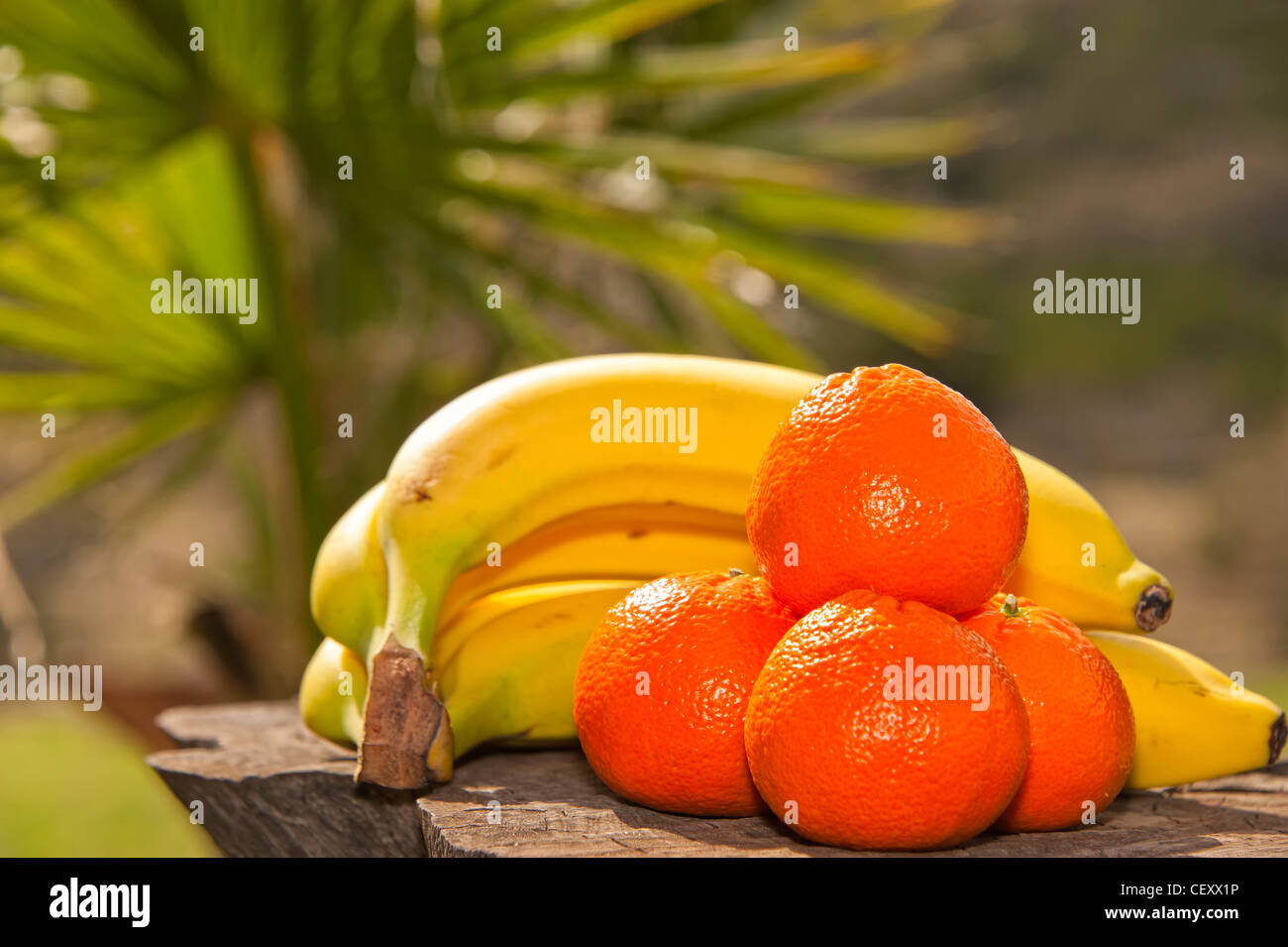 Fresh fruit Bananas and oranges Stock Photo Alamy