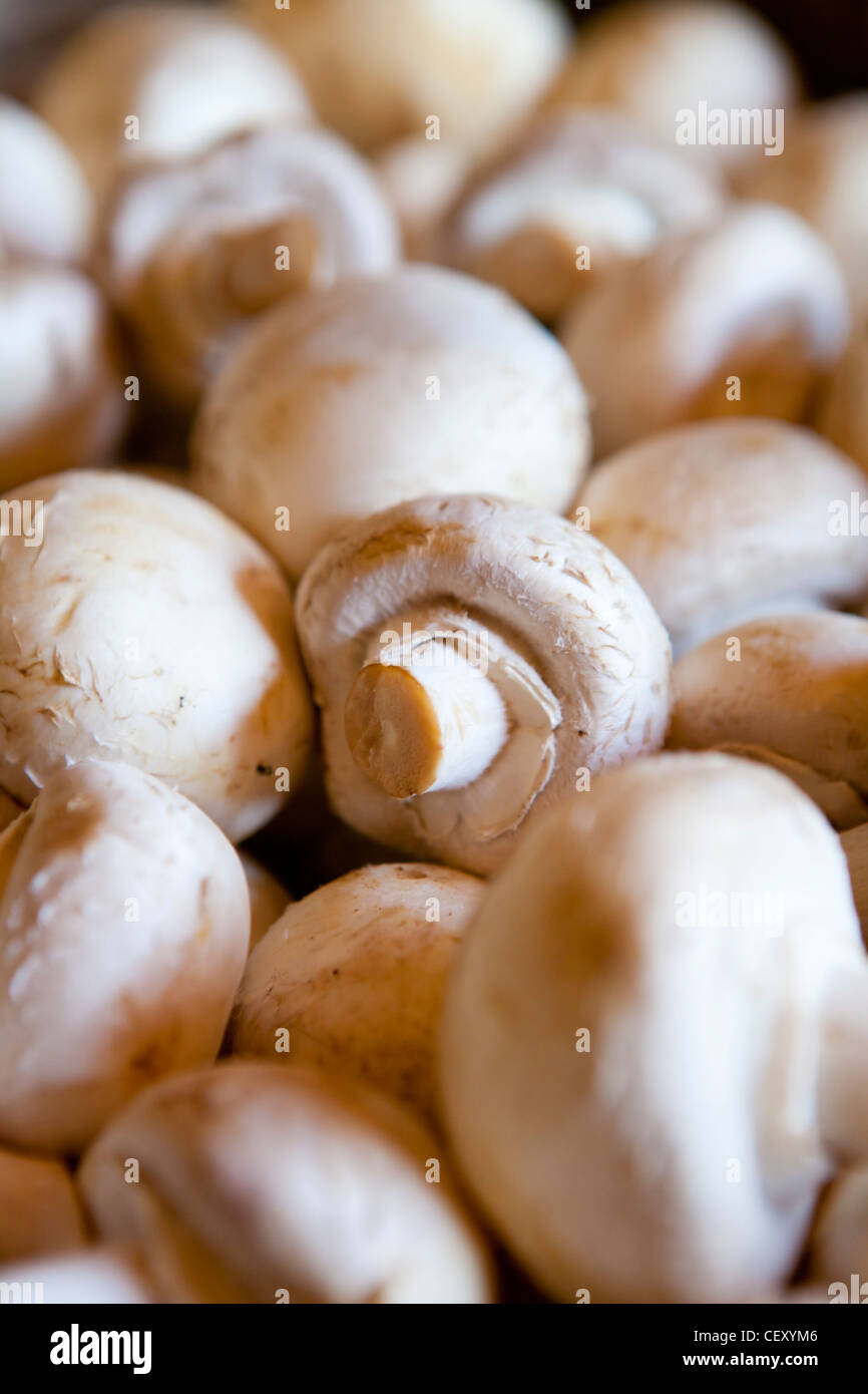 Mushrooms on sale in a traditional fruit and Veg shop in Greenwich Stock Photo