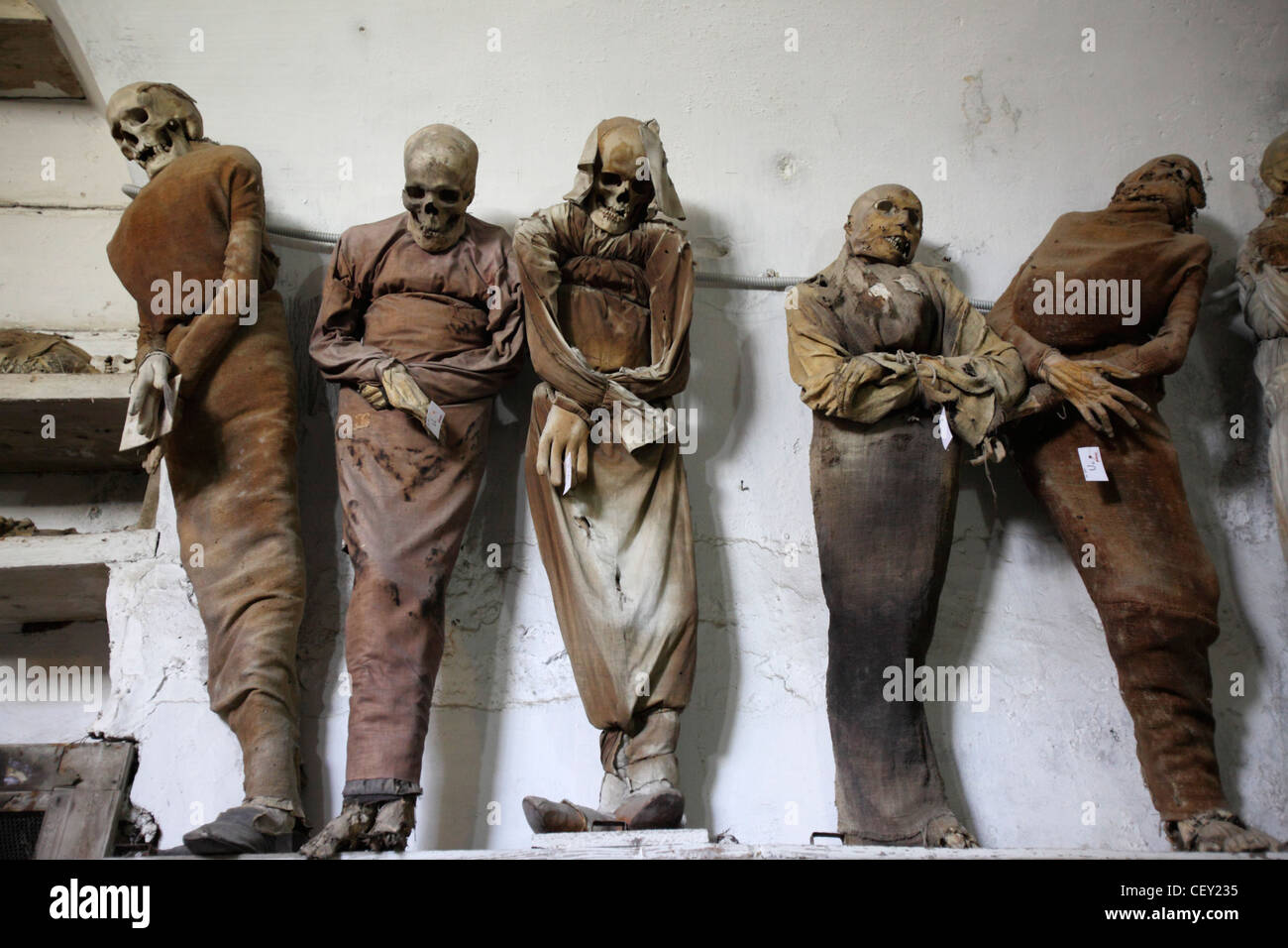 Capuchin catacombs of Palermo, Sicily, Italy Stock Photo