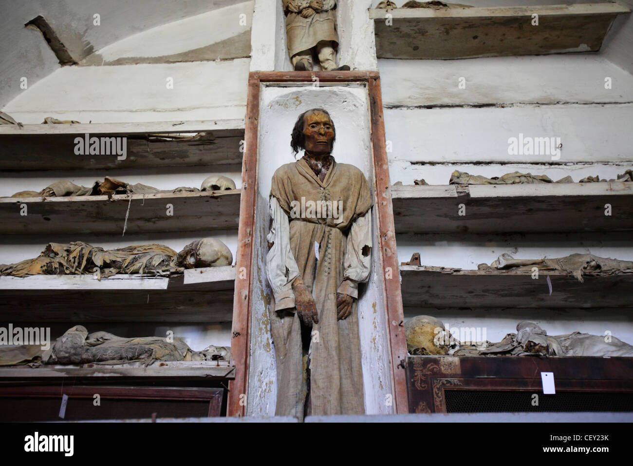 Capuchin catacombs of Palermo, Sicily, Italy Stock Photo - Alamy