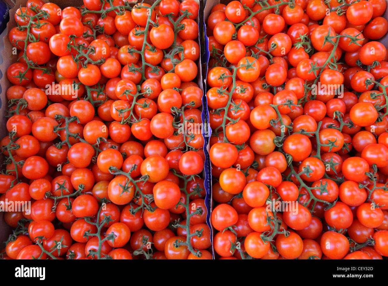 Pachino tomatoes at traditional Ballarò market, Palermo, Italy Stock Photo