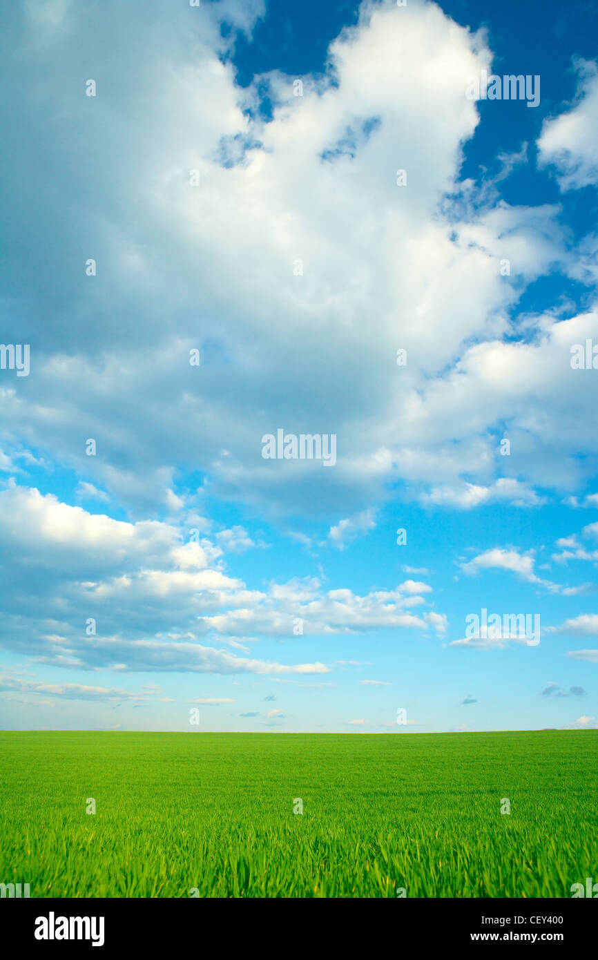 Scenery with green grass field and blue sky with beautiful clouds Stock ...