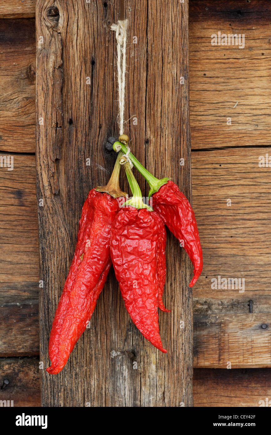 Red dry peppers hanging on wooden wall Stock Photo Alamy