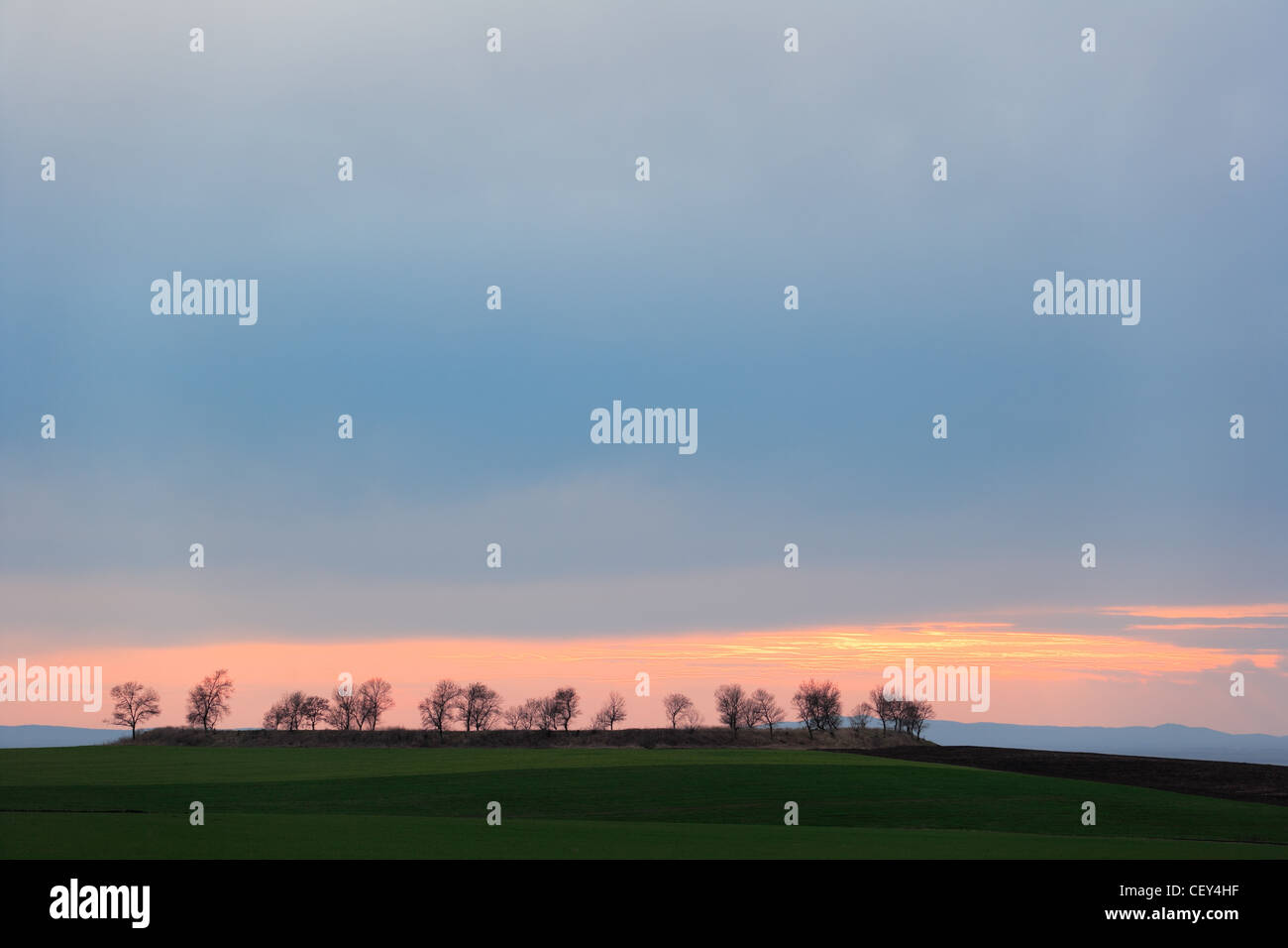 Trees on the horizon hi-res stock photography and images - Alamy