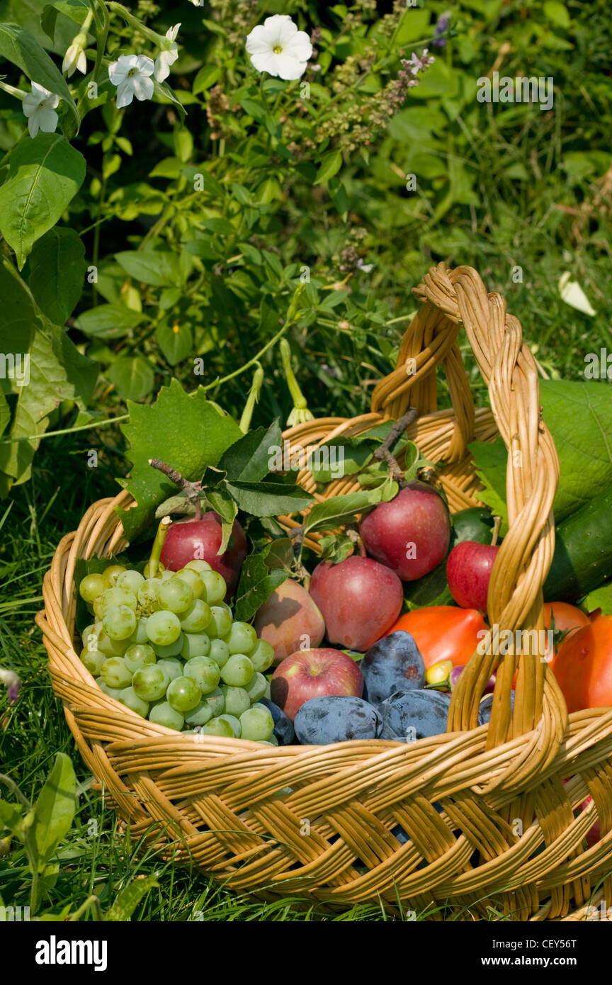 Fruits And Vegetables Basket High Resolution Stock Photography and
