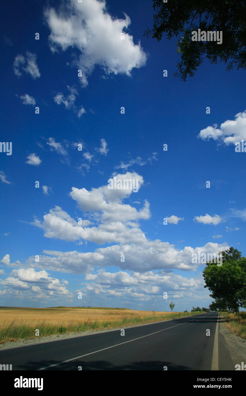 Summer road with blue cloudy sky Stock Photo - Alamy