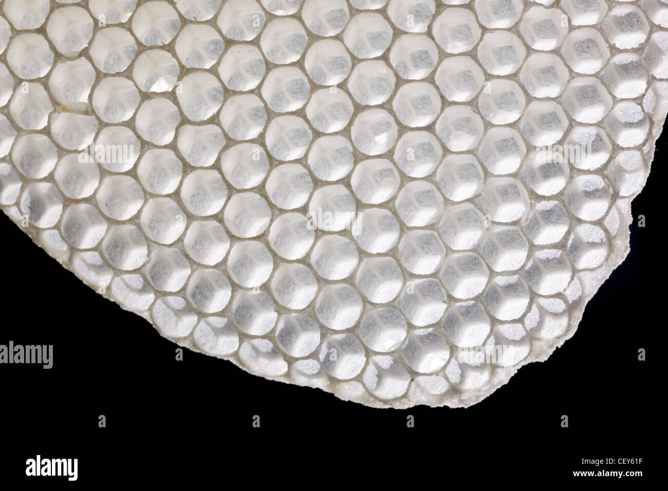 Fresh white honeycomb, natural bee wax isolated on black Stock Photo