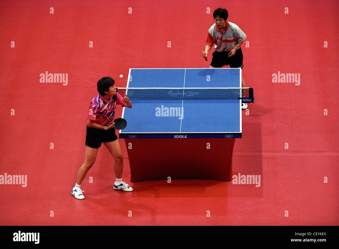 Mesa de Tênis de Mesa/ping Pong Tamanho Oficial | Item p/ Esporte e Outdoor  Procopio Usado 76216875 | enjoei