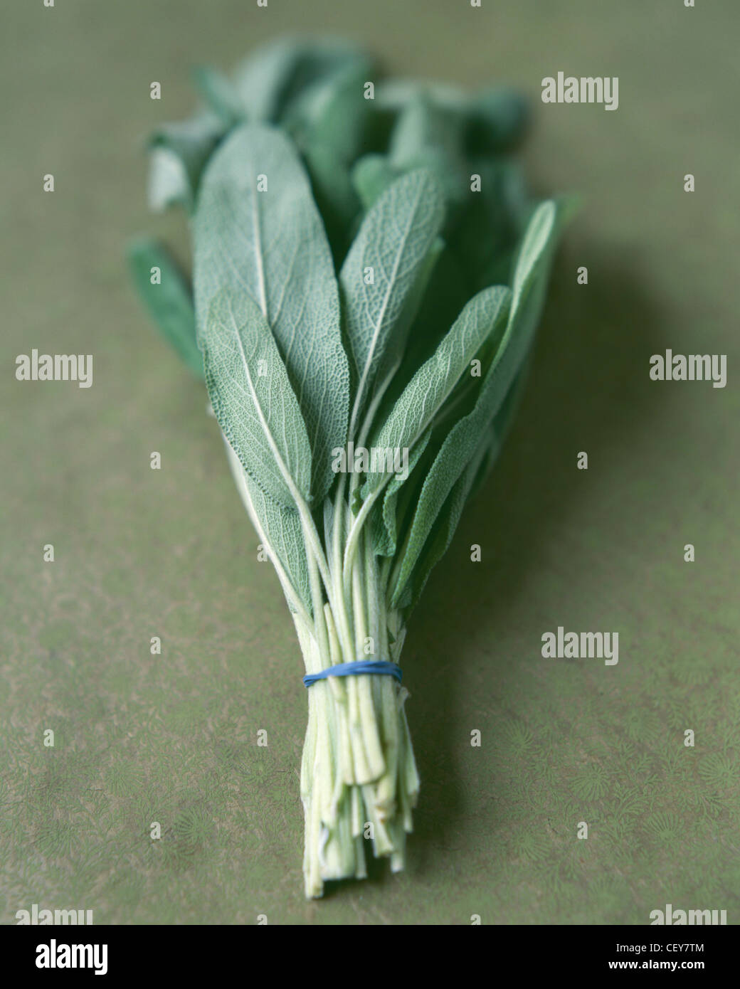 A bunch of sage Stock Photo