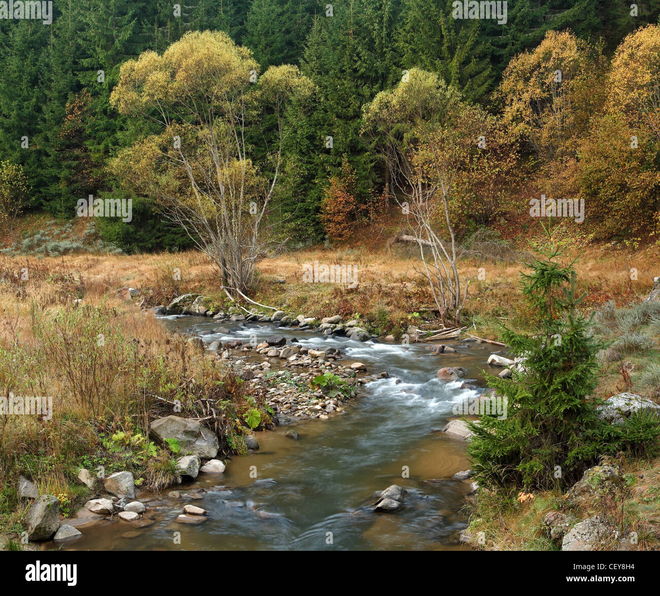 Autumn scenery with stream Stock Photo - Alamy