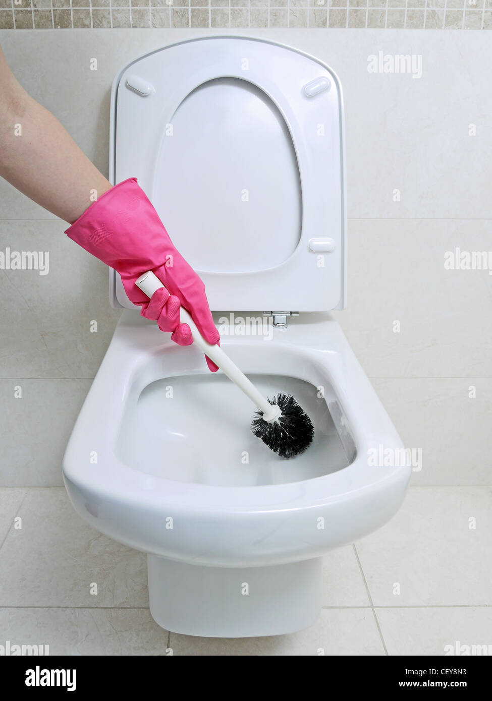 Female hand in pink rubber glove cleaning toilet bowl using brush Stock Photo