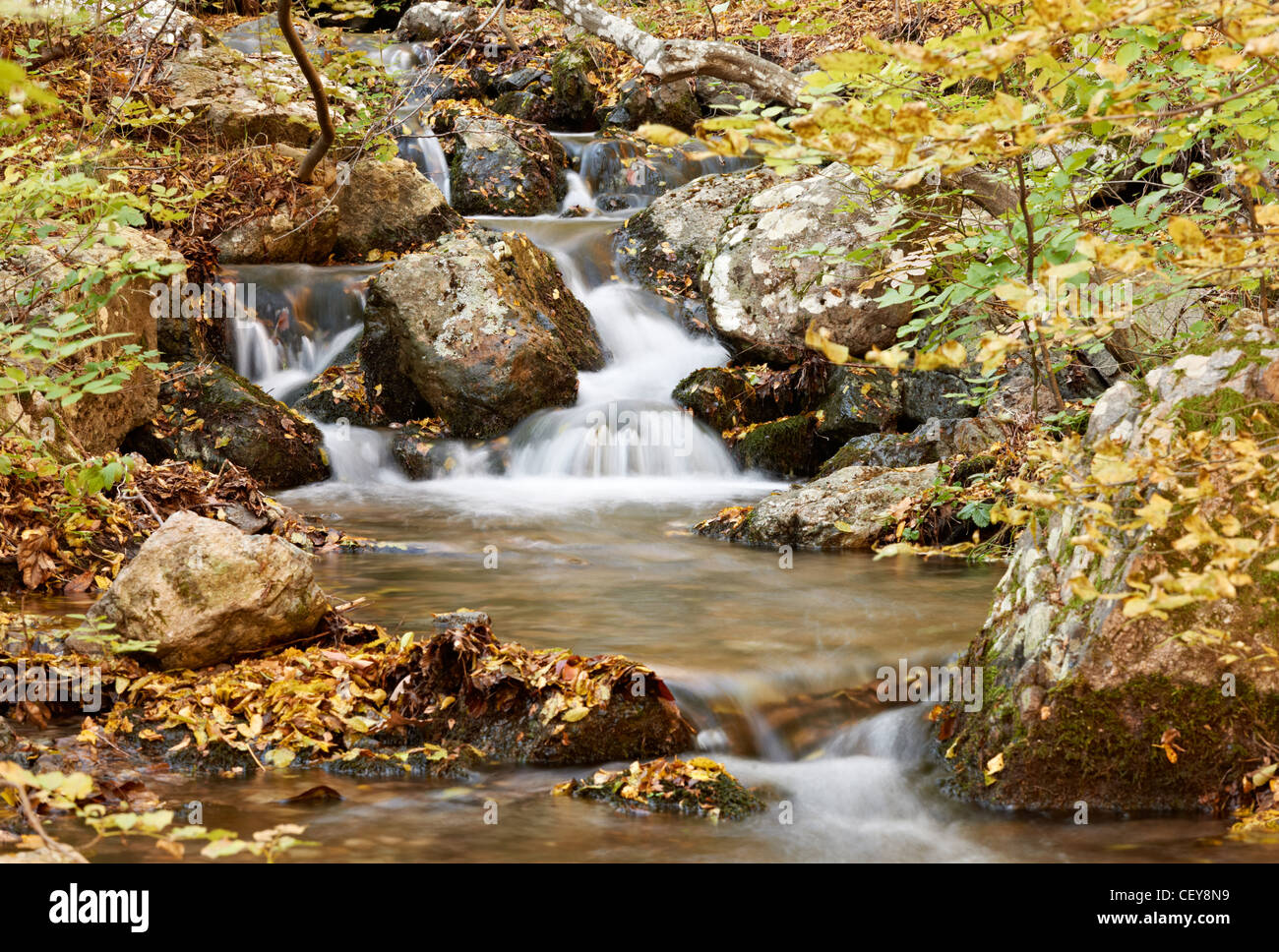 Autumn mountain scenery with stream and small waterfall Stock Photo