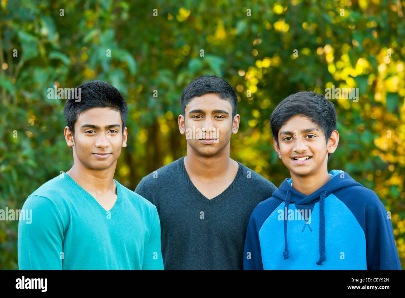 portrait of three teenage brothers in a park setting; edmonton alberta canada Stock Photo