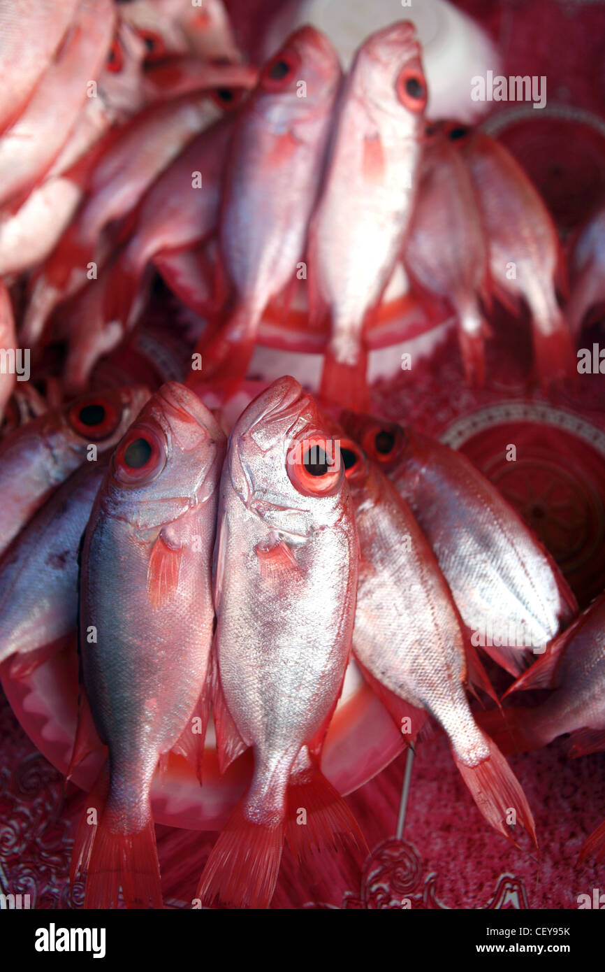 Fresh fish for sale at the waterfront wet market. Kota Kinabalu, Sabah