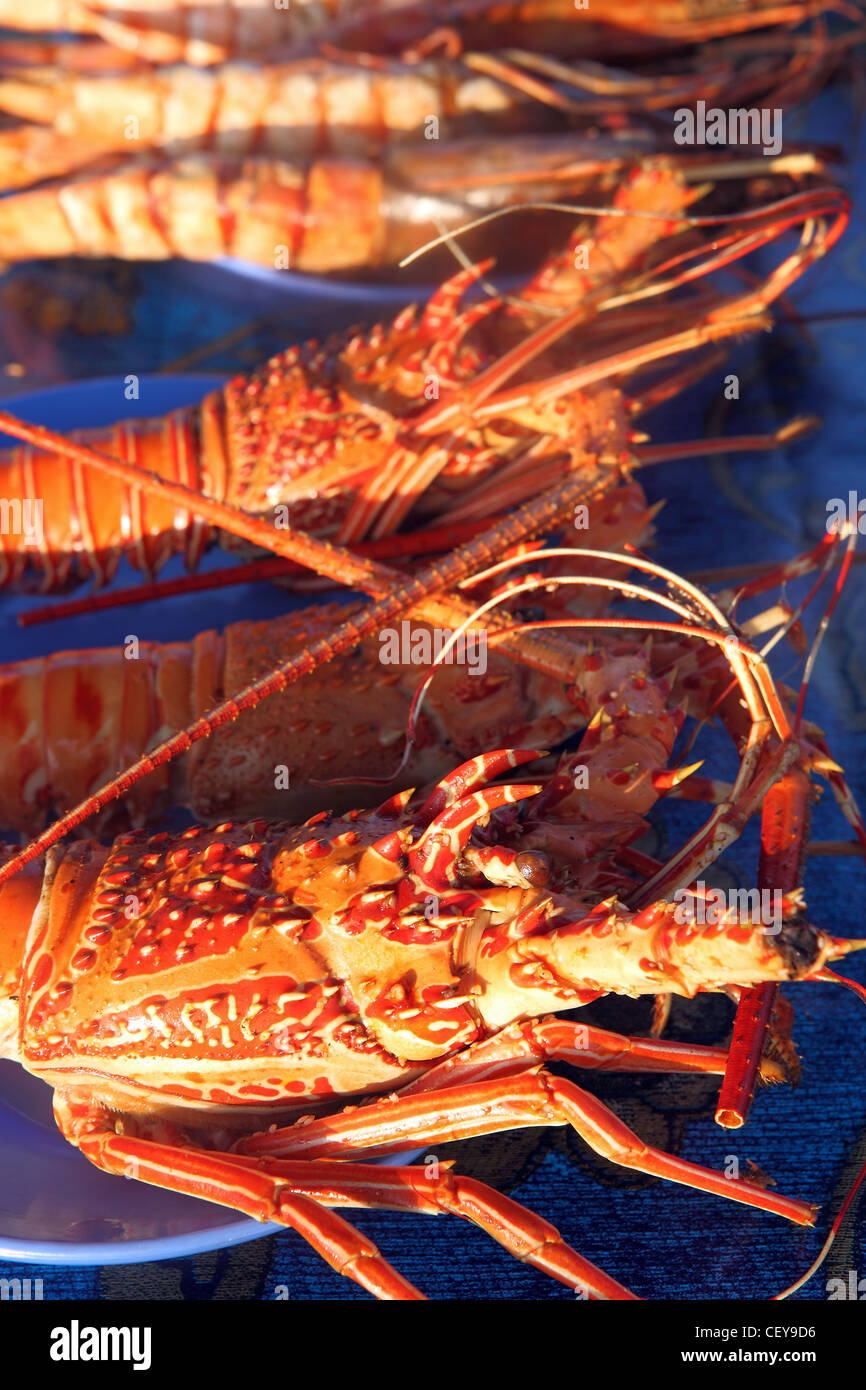 Grilled lobster at Kota Kinabalu waterfront market Stock Photo Alamy