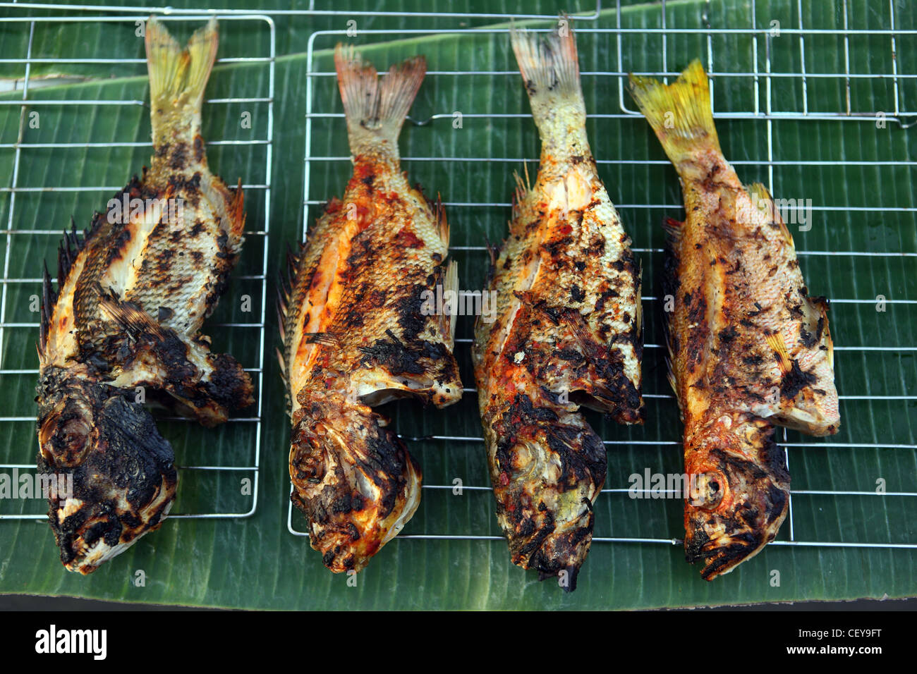 Grilled fish at Kota Kinabalu waterfront market Stock Photo Alamy