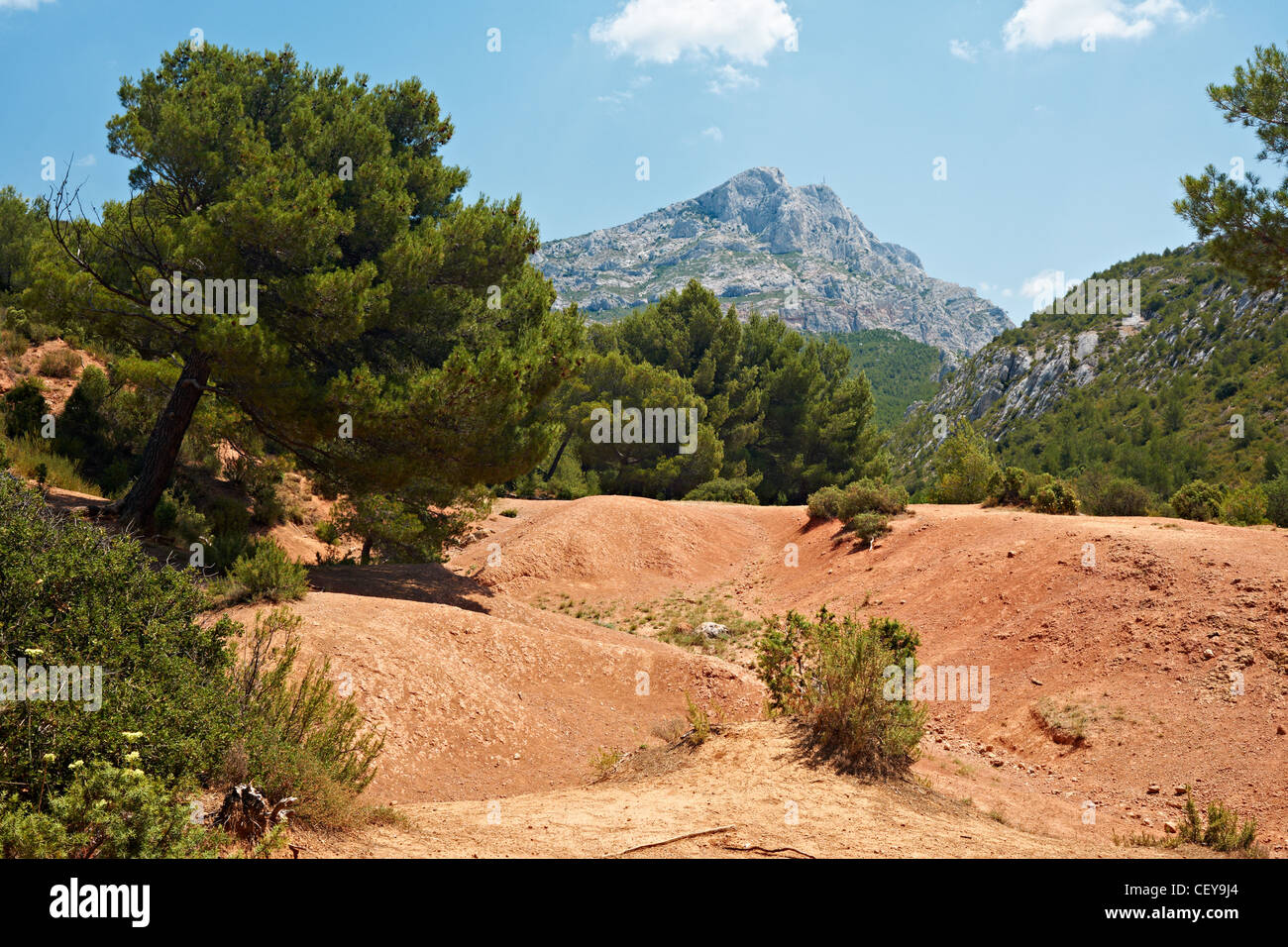 Largest dinosaur fossil find near Aix en Provence with the peak of