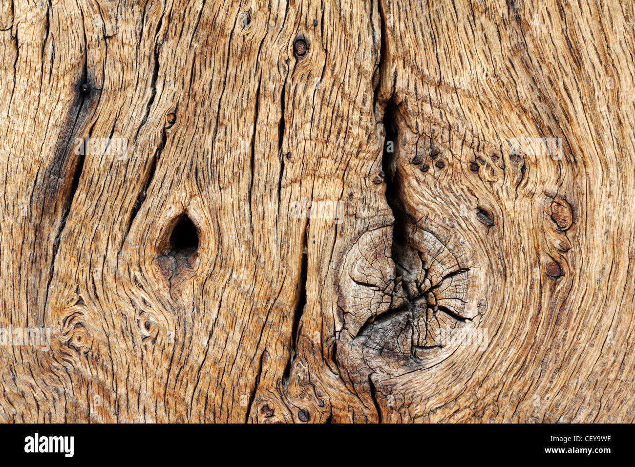 Oak timber hi-res stock photography and images - Alamy