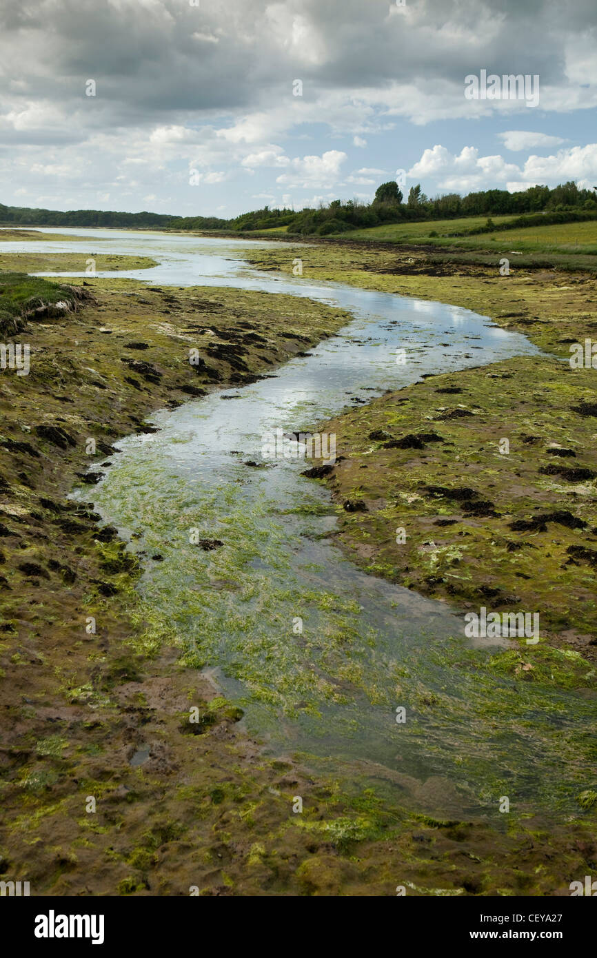 UK, England, Isle of Wight, Newtown, tidal river mudflats Stock Photo