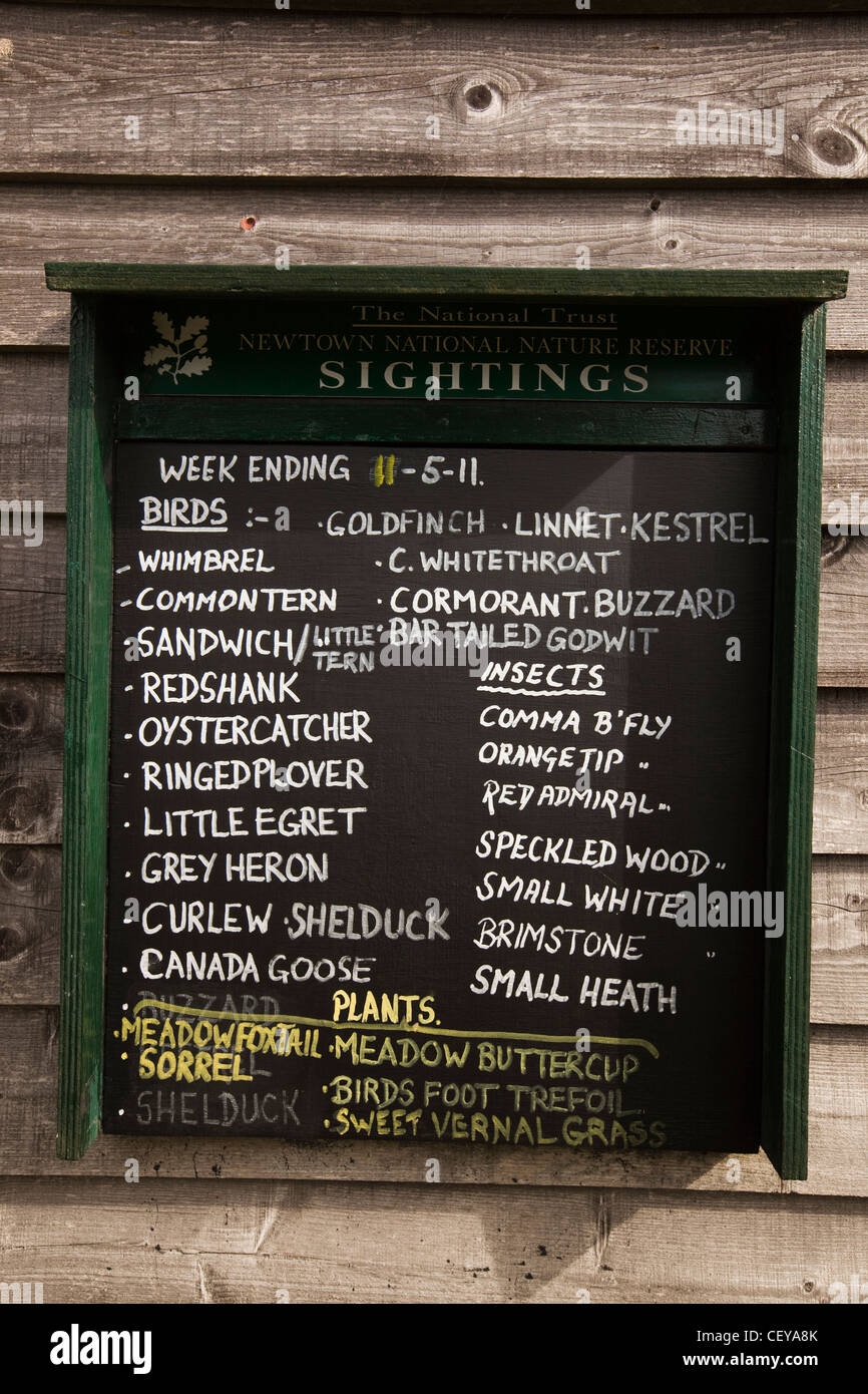 UK, England, Isle of Wight, Newtown harbour, list of recent bird watching sightings Stock Photo